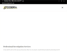 Tablet Screenshot of cobrainvestigationsfl.com